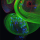 Image for article titled Parasites, deadly bugs and fungi are more beautiful than you could possibly imagine